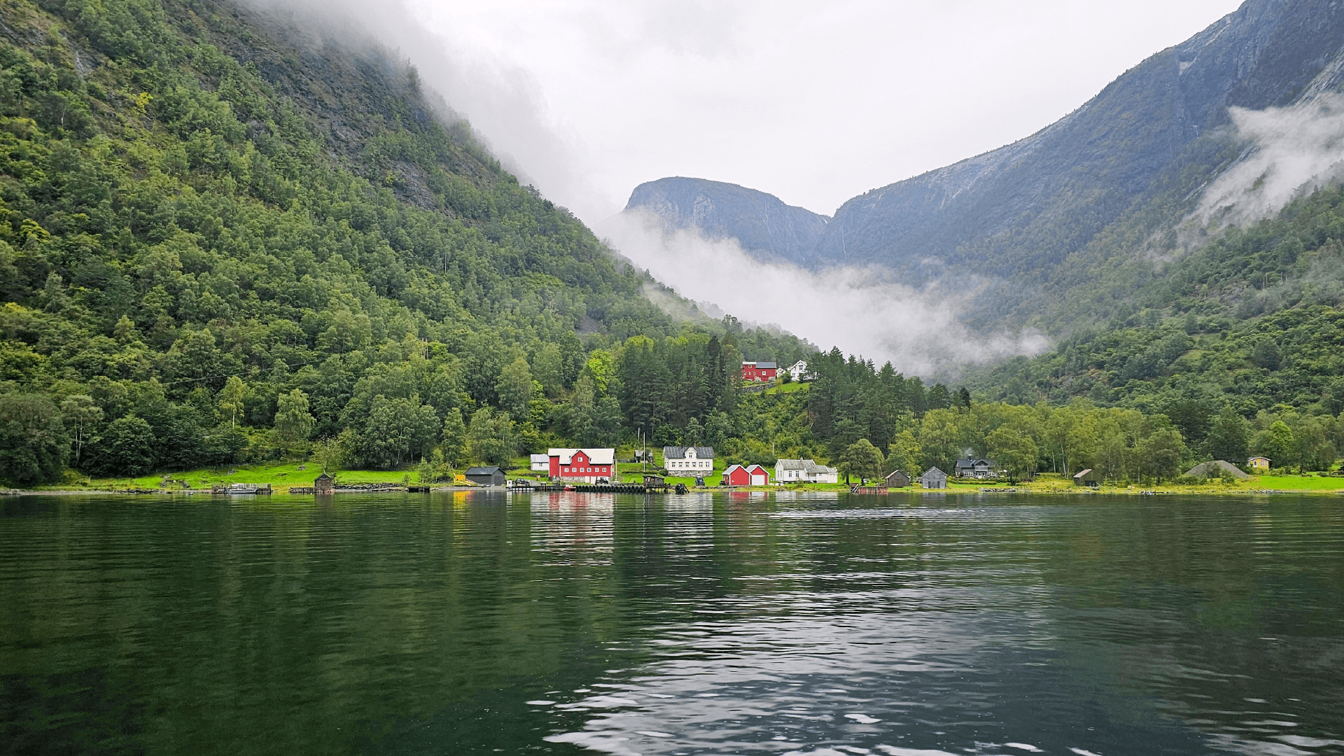 Fjord scenery along the Nærøyfjord in Flåm, Norway by Dennis Bunnik